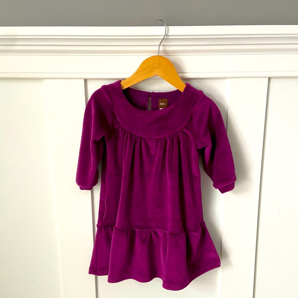 Tea Collection Velour Dress Flair Sleeve Toddler Girl NWT